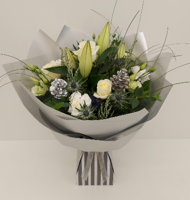 Twinkle Twinkle Little Star