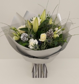 Twinkle Twinkle Little Star