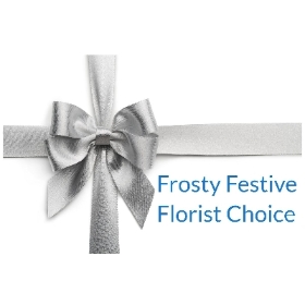 Frosty Festive Florist Choice Hand tie